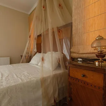 Alcedo Alli Meria